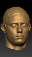 Male 3D head scan # 79