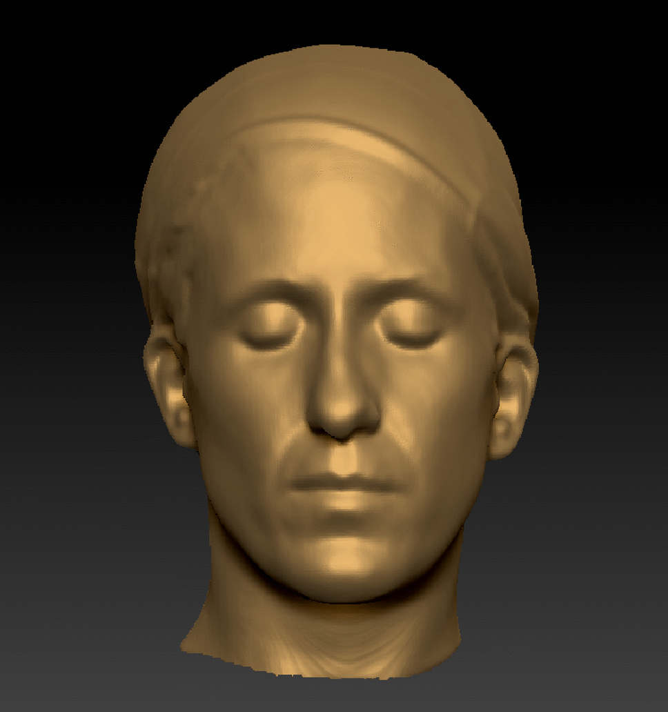 Head Woman White Average Head 3D scan