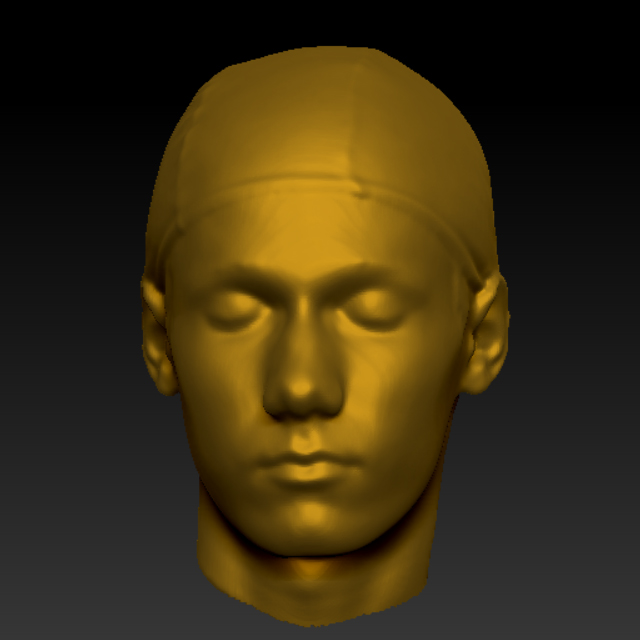 Man Head 3D scan